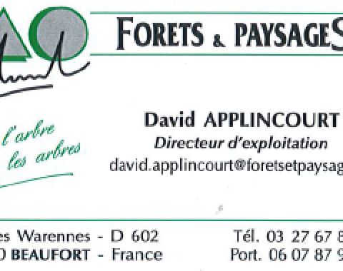 Forets Paysages